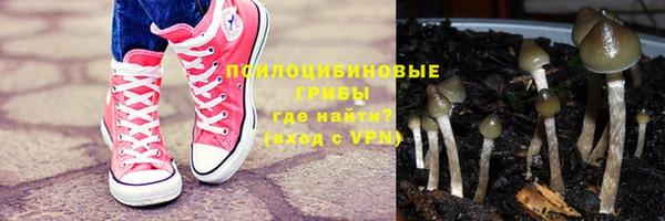 дурь Балахна